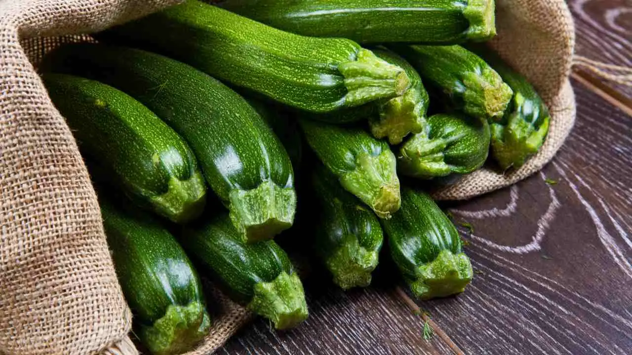 Orto in estate: quali piante evitare vicino alle zucchine e perché