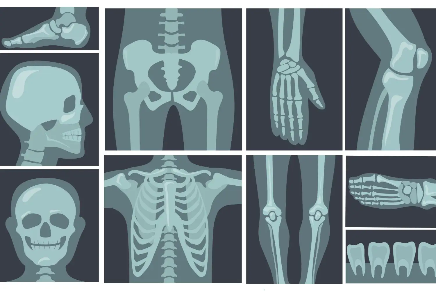 Esami diagnostici: quali sono, a cosa servono e perché sono importanti per la salute