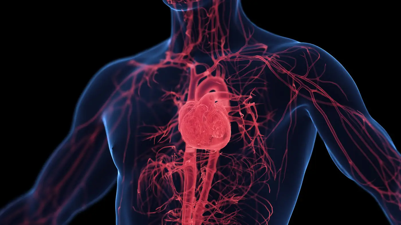 Controllo cardiovascolare: come tenerlo sotto controllo con una semplice abitudine