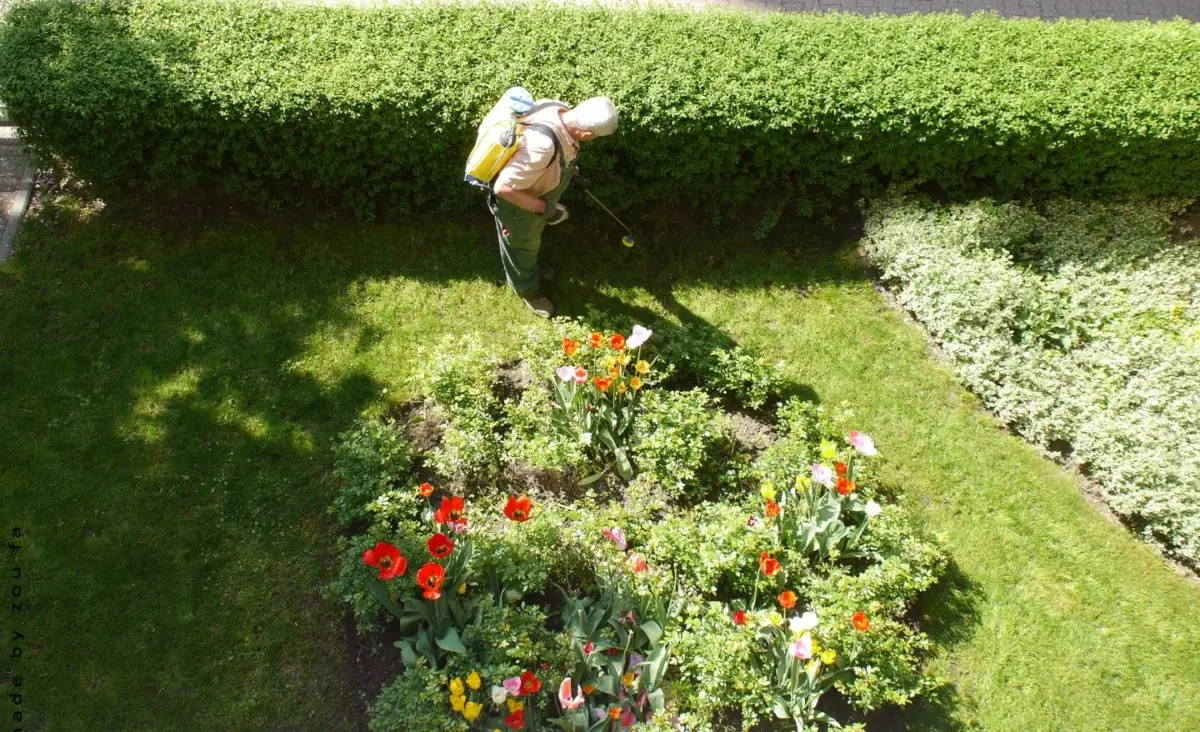 Se hai un giardino: ecco quanto costa un giardiniere all’ora