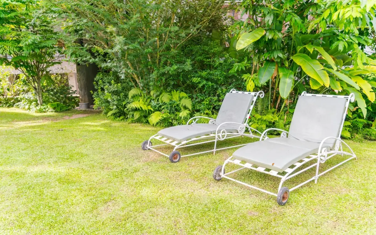 Attenzione: se hai una zona ventosa in giardino, queste sono le 6 piante da scegliere