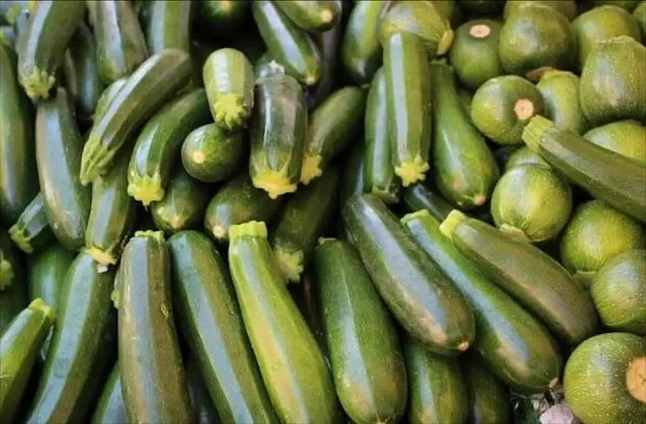 Ecco cosa succede se dai lo zolfo alle zucchine al momento giusto