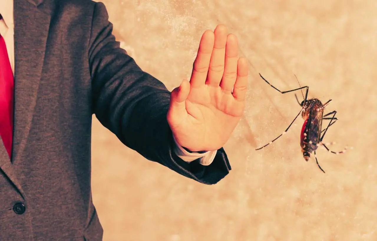 Nuova ordinanza anti-zanzare 2025: ecco cosa cambia e cosa rischi se non la rispetti