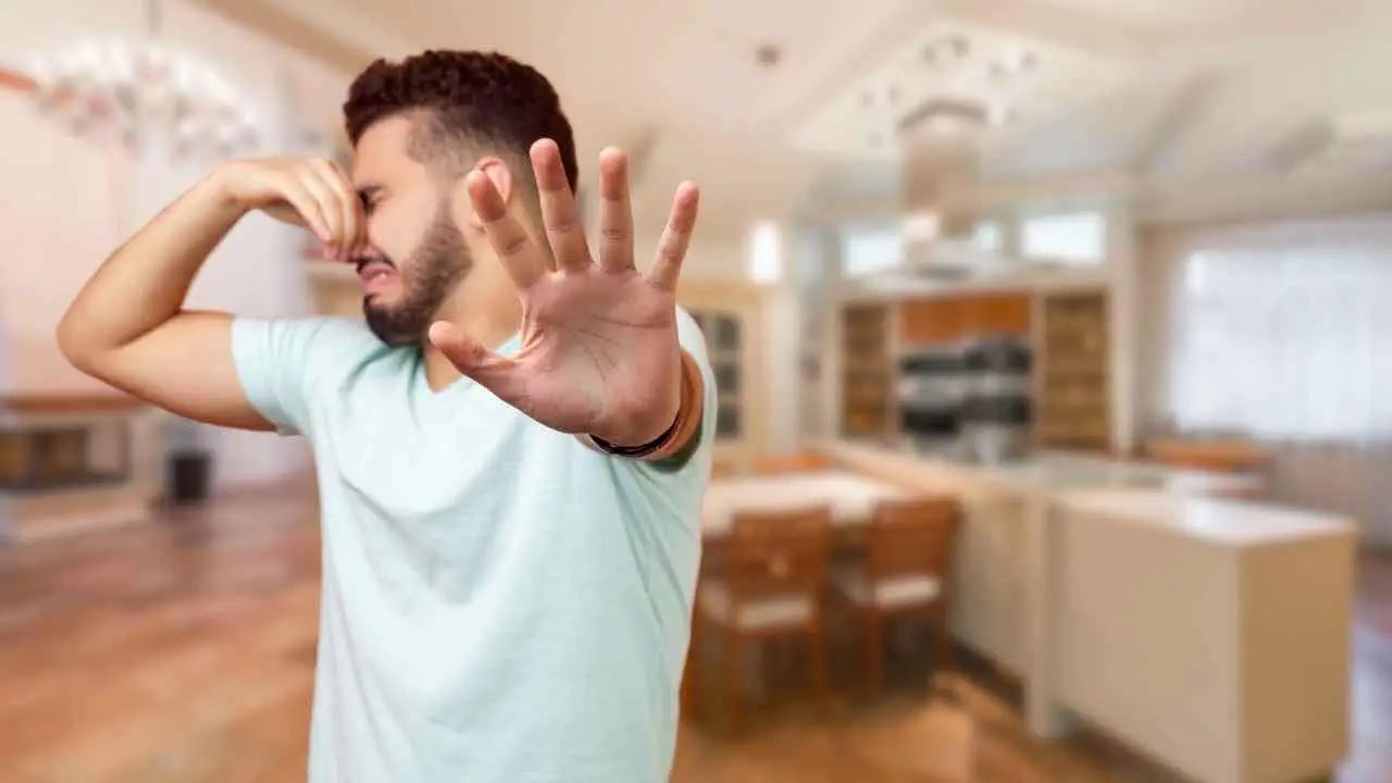 Metti questo oggetto in salotto: elimina il cattivo odore in pochi minuti