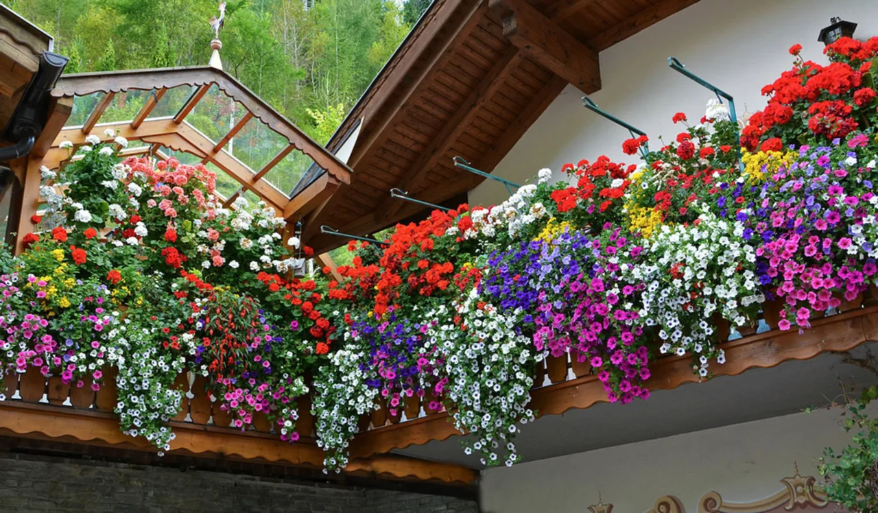 Idee per abbellire il balcone con fiori che resistono al caldo estivo