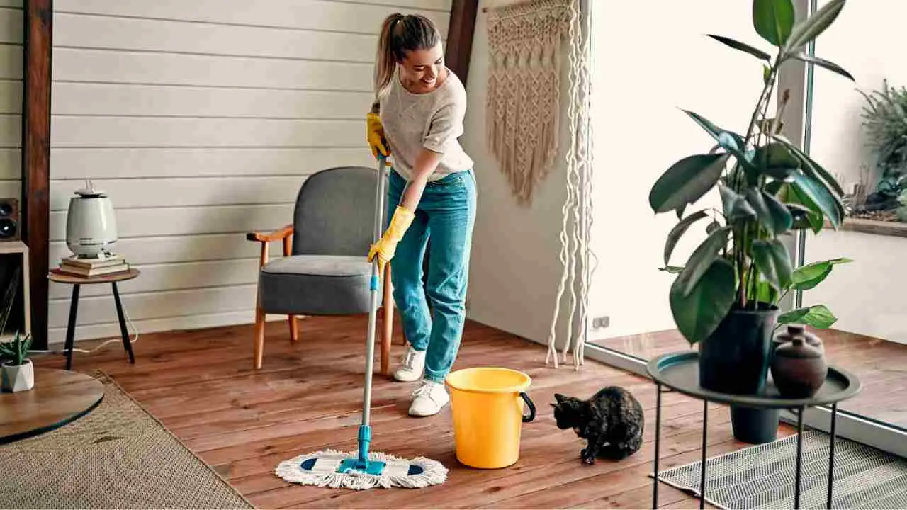 Allerta casa: pulire troppo spesso fa male alla salute? Ecco cosa dicono i medici