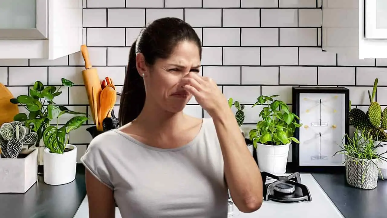 Usi questo prodotto per togliere i cattivi odori? Ecco cosa succede davvero